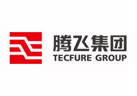 騰飛集團(tuán)logo.JPG